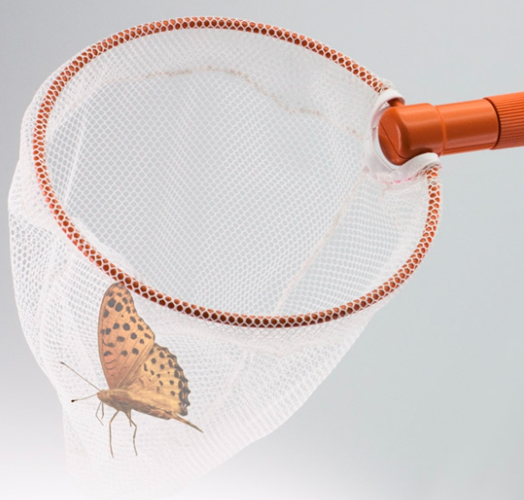 Edu-Toys: Bug Catching Net